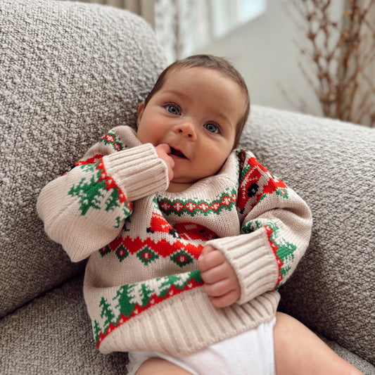 Mistletoe and Pines Jumper